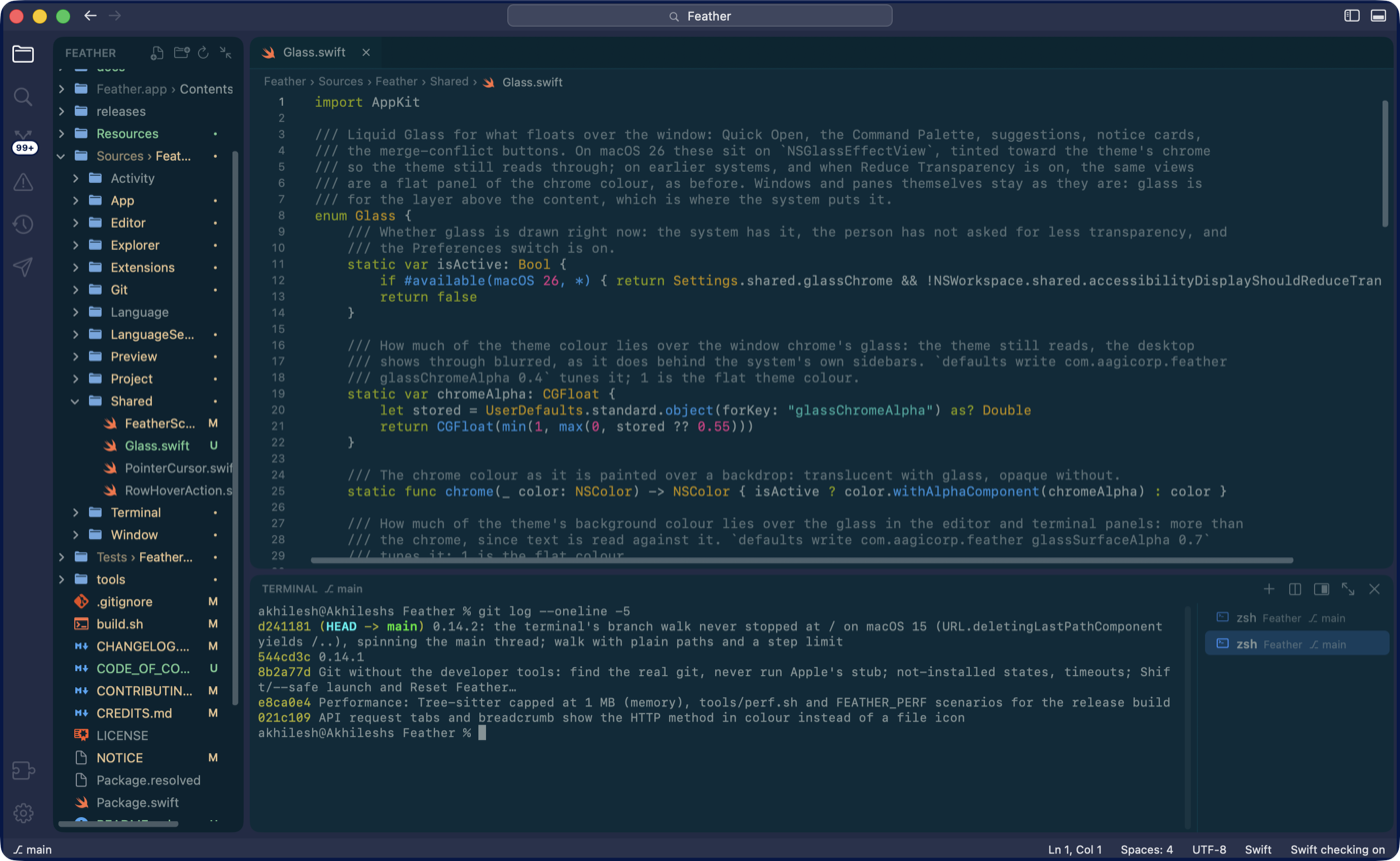 Feather in the Solarized Dark theme.